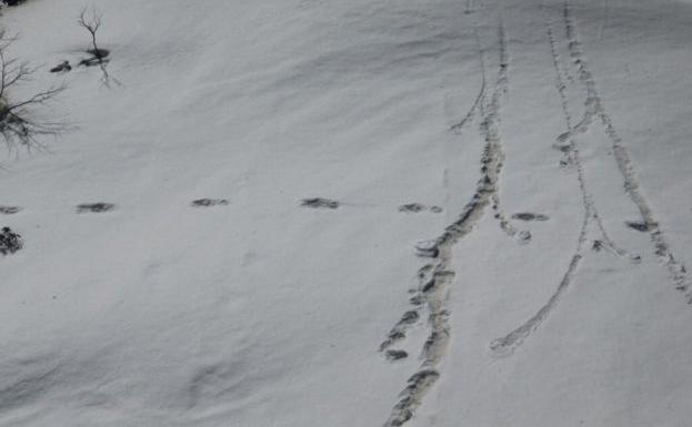 El ejército de la India dice haber descubierto huellas del Yeti