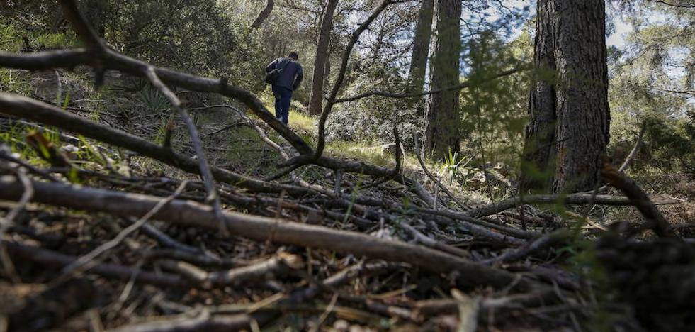La vigilancia del monte valenciano, en la cuerda floja