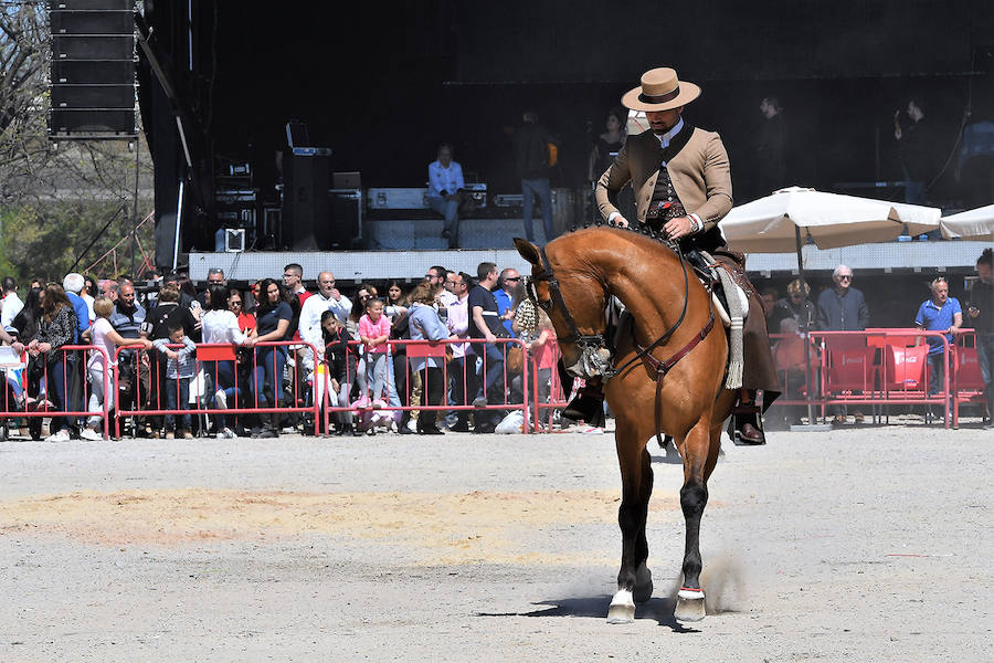 Exhibición ecuestre en la Fran Feria Andaluza de Valencia 2019