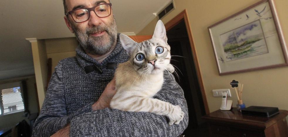 «Salvé a Aquiles, pero me quedé en la cornisa»