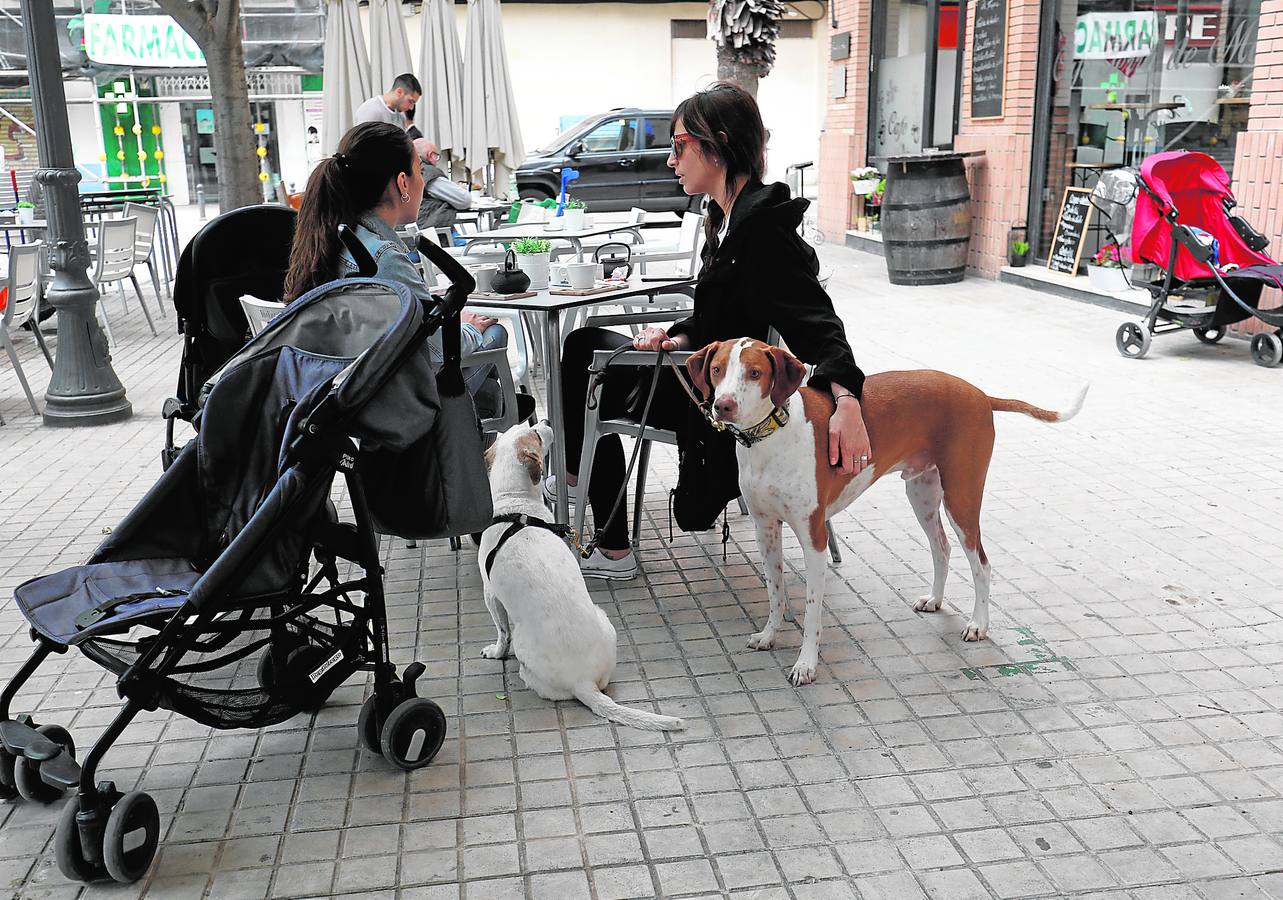 Más perros que niños en los hogares valencianos