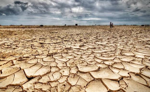 El ecologismo se une para exigir el Gobierno que declare la emergencia climática