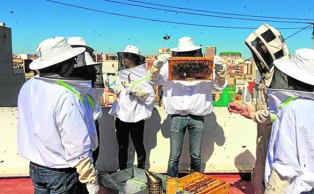 Una asociación de apicultores quiere instalar cinco colmenas en un solar junto a La Rambleta