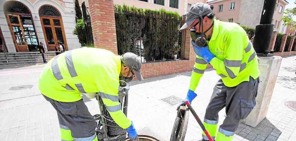 Los vecinos más molestos de Valencia: mosquitos, ratas y cucarachas