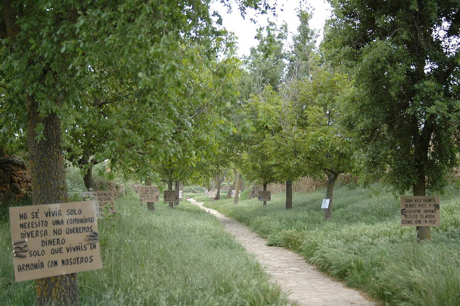 Aras de los Olmos, un pueblo valenciano repleto de flores