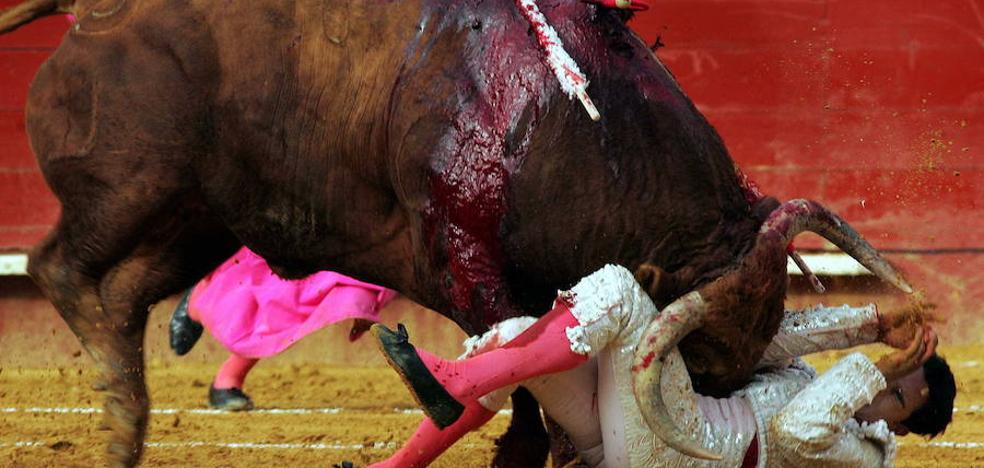 La Universitat de València lanza el primer postgrado en asistencia médico-quirúrgica a las cornadas de toro