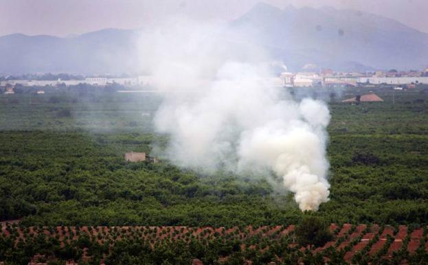 Prohibidas las quemas agrícolas hasta octubre para prevenir incendios en la Comunitat