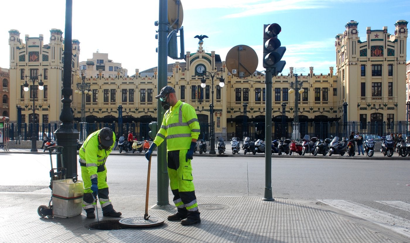 El Ayuntamiento fumigará en viviendas y solares privados para frenar el mosquito tigre