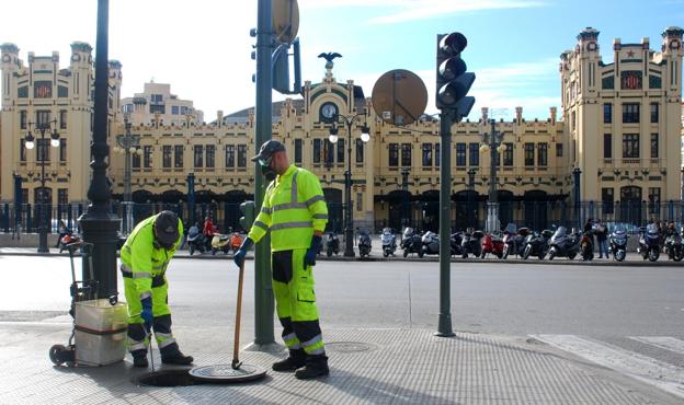 El Ayuntamiento fumigará en viviendas y solares privados para frenar el mosquito tigre