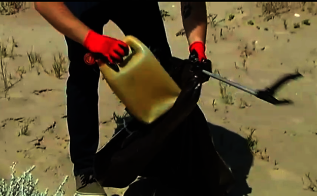Voluntarios regeneran las dunas de El Saler y limpian la playa de plásticos