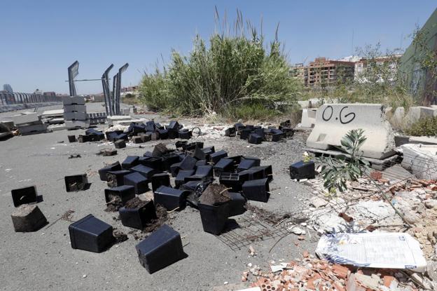 Abandonan restos de una plantación de marihuana en el antiguo circuito de F-1