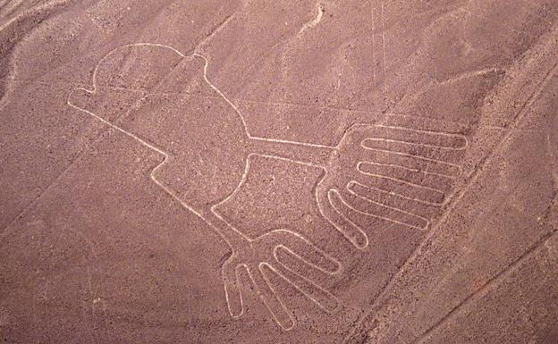 Las misteriosas aves dibujadas en Nazca no son lo que parecían