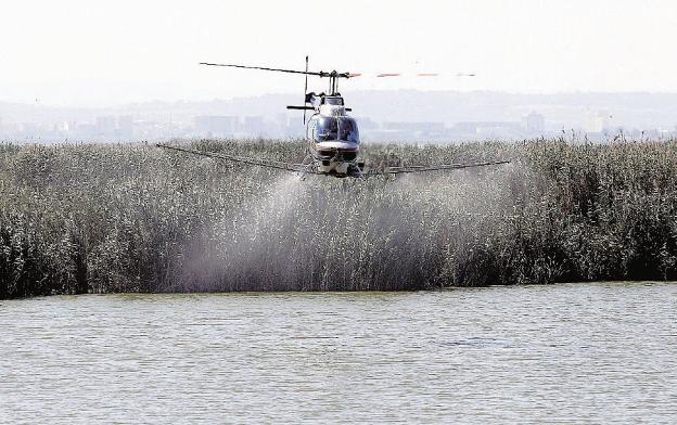 Sanidad restringe las fumigaciones aéreas para combatir el mosquito tigre