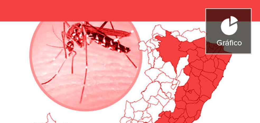El mosquito tigre avanza sin control en la Comunitat Valenciana