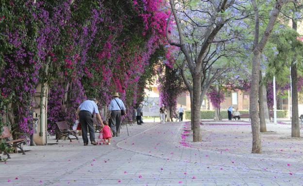 Un joven de 19 años abusa de una mujer de 30 en un parque de Valencia