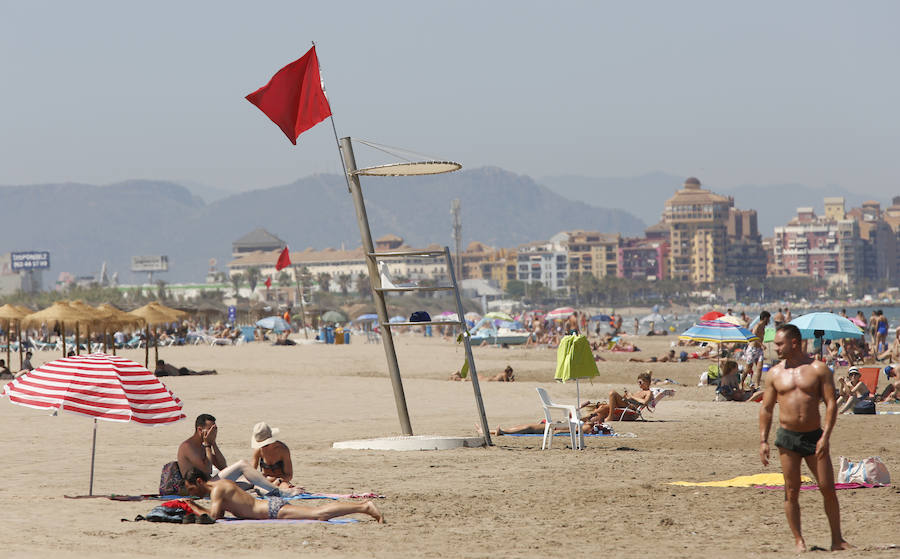Así se sacuden los valencianos el calor