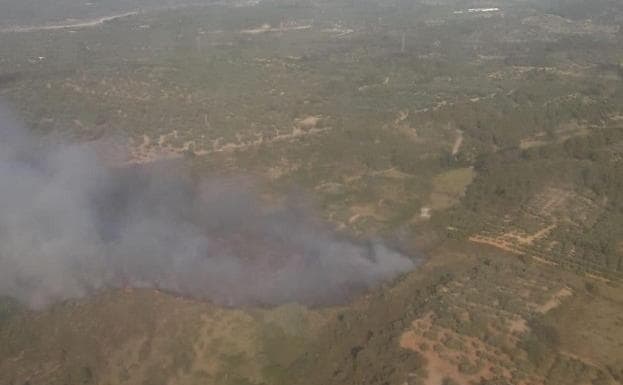 Cinco medios aéreos trabajan en un incendio de vegetación en Sant Mateu
