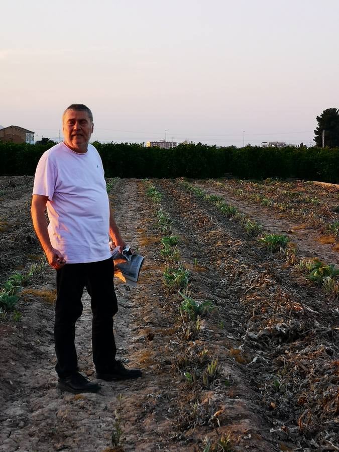 Ricard Camarena recupera la tradicional quema de la alcachofa