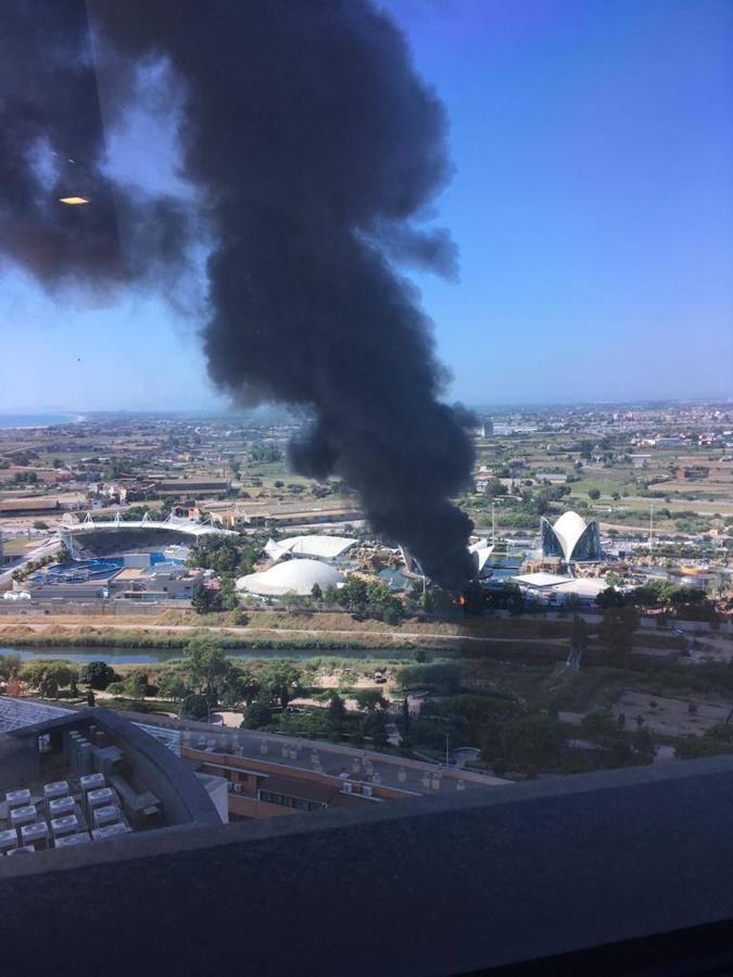 Incendio en el Oceanogràfic de Valencia