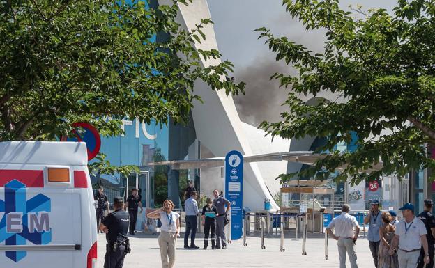 El Oceanogràfic abre esta noche el restaurante Submarino y mañana todas sus instalaciones