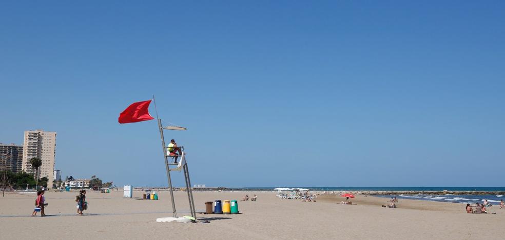 Técnicos peinarán la huerta en busca de vertidos mientras la situación se agrava en las playas valencianas
