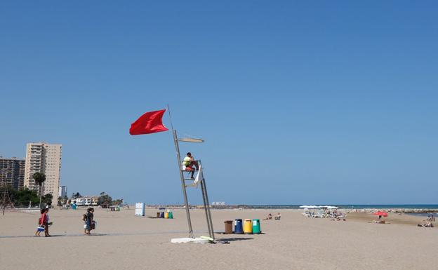 Técnicos peinarán la huerta en busca de vertidos mientras la situación se agrava en las playas valencianas
