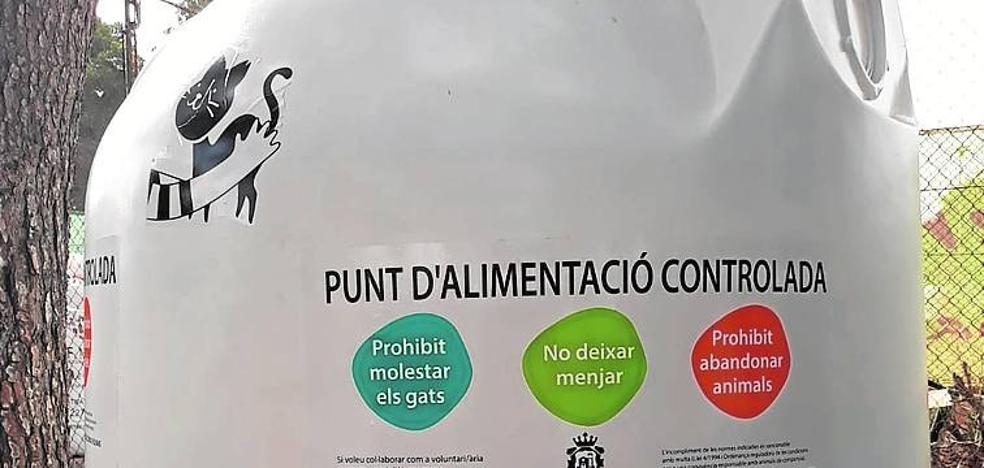 Instalan un nuevo dispensador de alimentos para colonias felinas