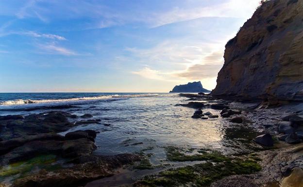 Benissa cierra la playa canina de La Llobella por graves problemas de insalubridad