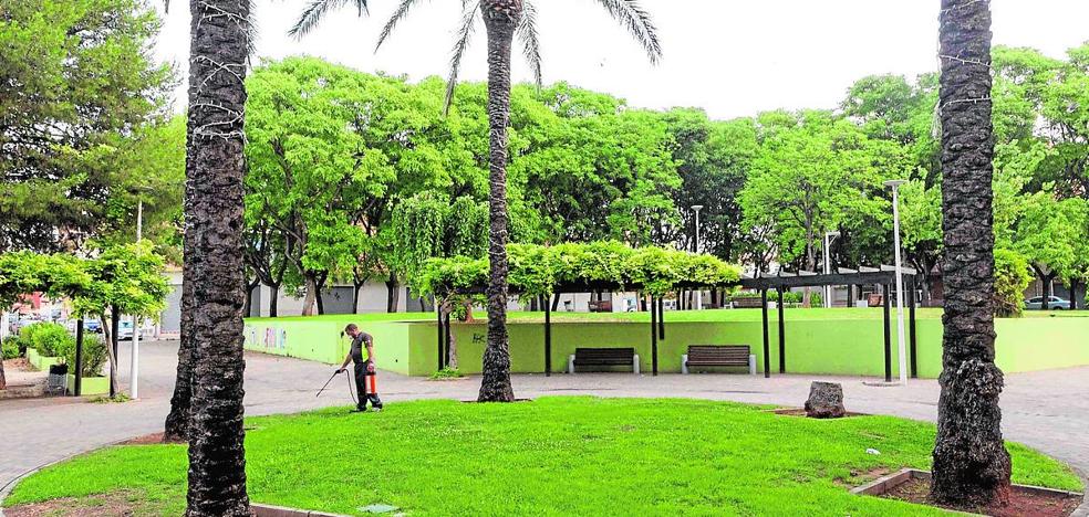 Refuerzan los tratamientos contra el mosquito tigre en Picassent