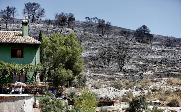 Estabilizado y sin llamas el incendio de Beneixama