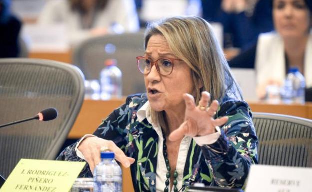 Rodríguez Piñeiro pedirá a la Comisión que el acuerdo de Mercosur incluya cláusulas de salvaguarda con carácter preventivo