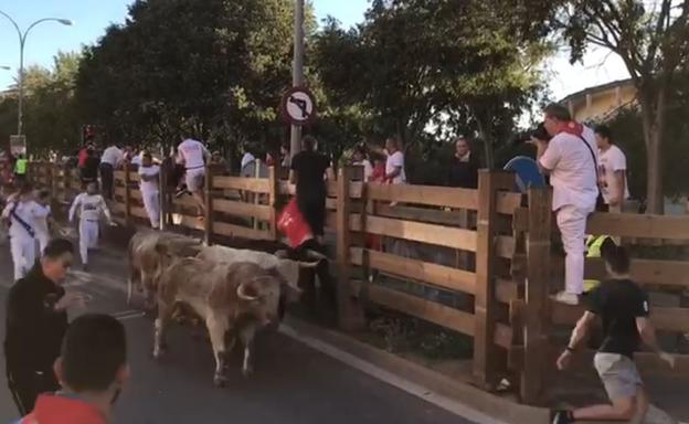 Un vecino de Castellón, herido por un toro en el encierro de las fiestas de Tudela