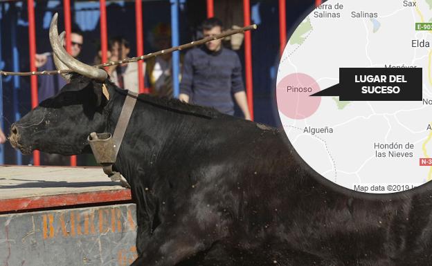 Muere un joven por una cornada de 20 centímetros de una vaquilla en Pinoso