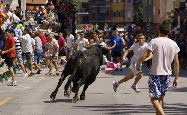 Un hombre resulta herido por asta de toro en una pedanía de Cortes de Arenoso