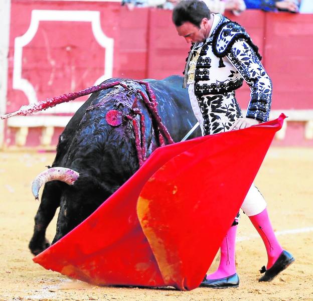 Glorioso Ponce en su vuelta a los ruedos