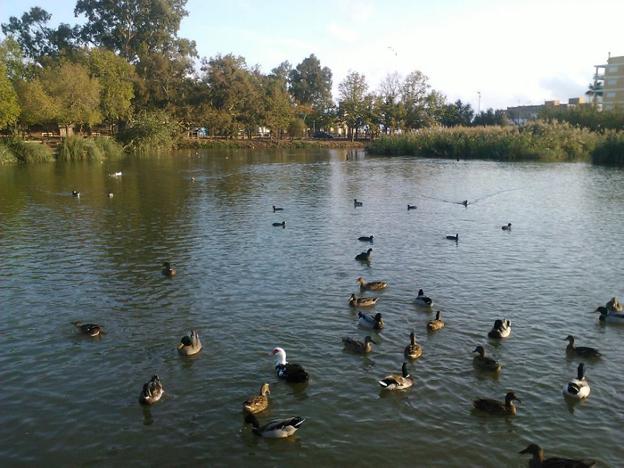 L' Estany de Nules, relax en la naturaleza