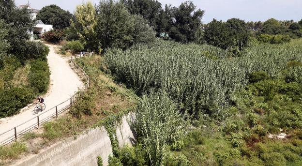 Otra gota fría entre barrancos abandonados y obras pendientes