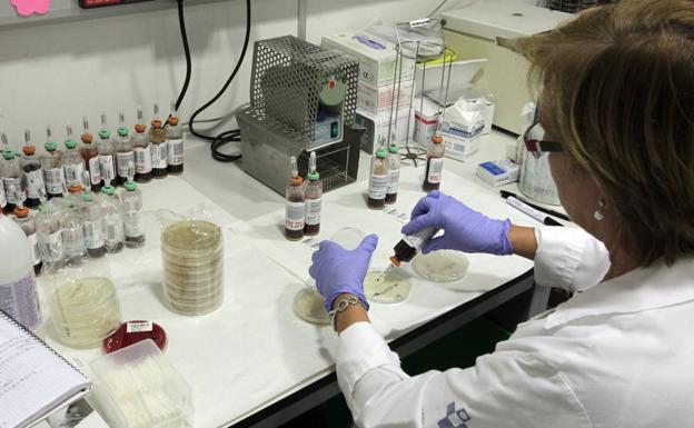 Sanidad investiga cinco posibles casos de listeriosis en la Comunitat Valenciana