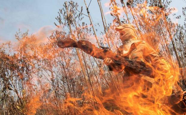 Brasil prohíbe por 60 días el uso de fuego para preparar siembra en la Amazonía