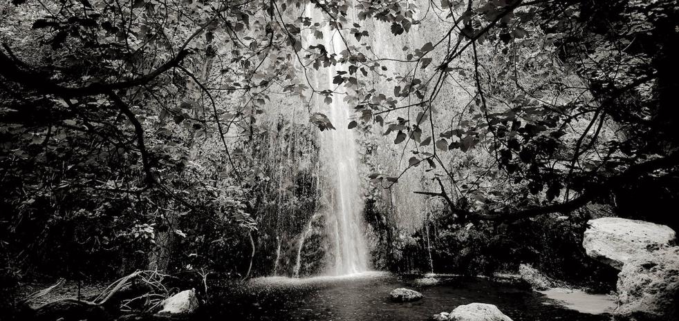 El rumor del agua