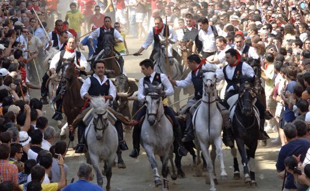 Programa de las Fiestas 2019 de Segorbe: horarios y actos