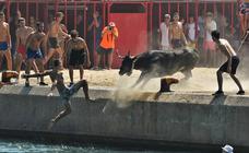 Los bous a la mar, más espectaculares que nunca en Xàbia