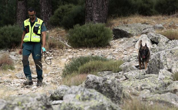 La policía amplía la búsqueda de Blanca Fernández Ochoa después de que los perros marcaran dos zonas con posibles pistas