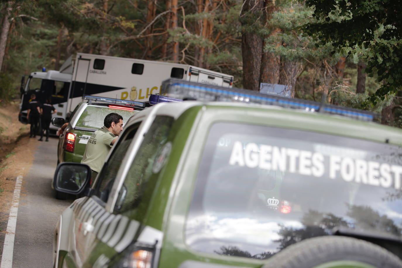 Una búsqueda sin precedentes