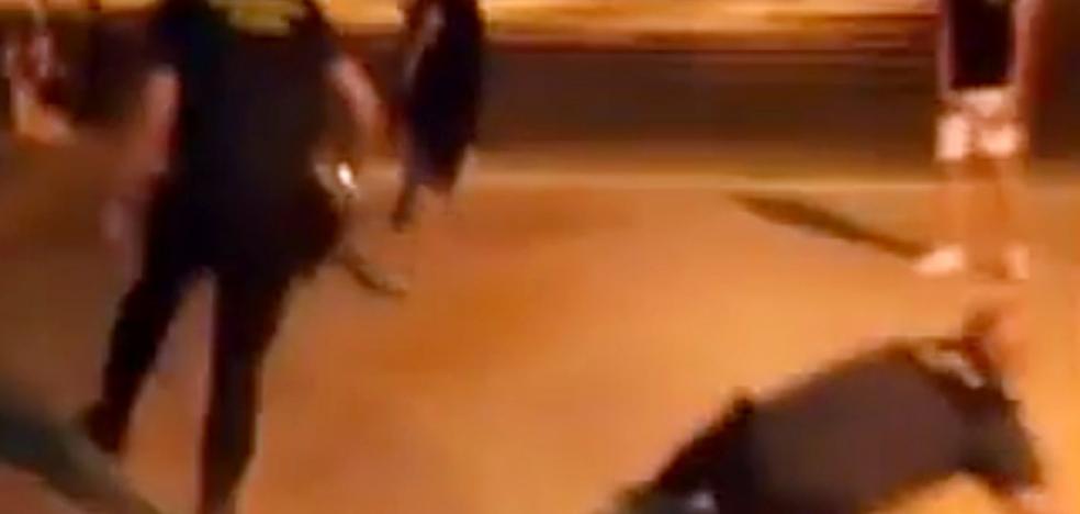 Las peleas multitudinarias se disparan en medio de la falta de vigilancia