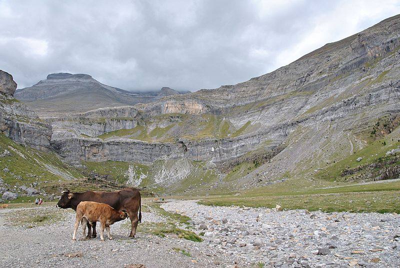 10 escapadas animales para empezar septiembre