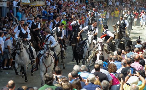 Un jinete y un caballo, heridos en la primera Entrada de Toros de Segorbe