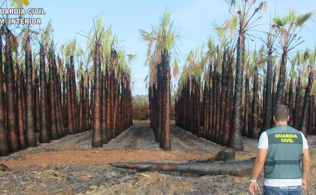 La Guardia Civil detiene a una persona como presunta autora de varios incendios en poblaciones de La Ribera Alta