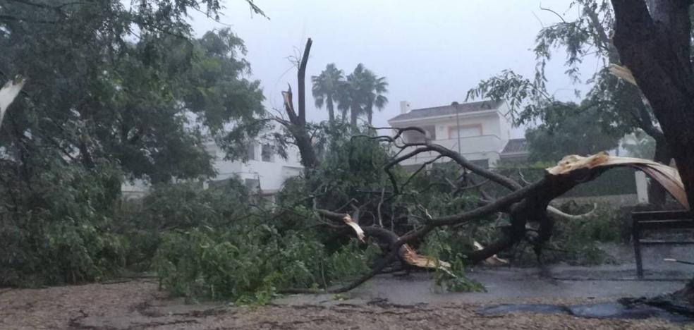 Alerta roja: el temporal desborda ríos, paraliza colegios y deja ya más de 200 litros en la Comunitat