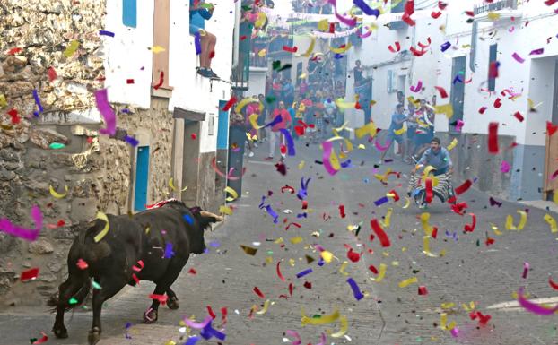 Villamalur, donde los toros plantan cara a la despoblación